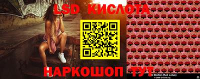 гашик Новокубанск