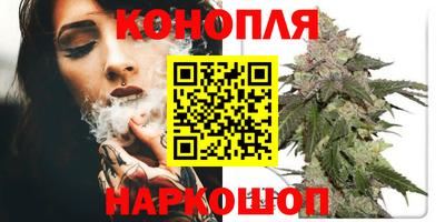 гашик Новокубанск