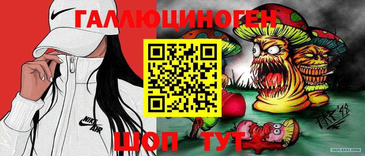 Торжок  Галлюциногенные грибы прущие грибы  Вход с VPN  Галлюциногенные грибы MAGIC MUSHROOMS 