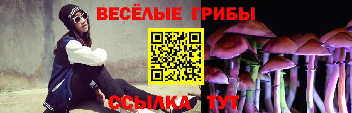 Псилоцибиновые грибы мухоморы Торжок